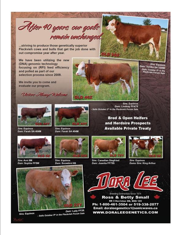 Dora Lee Sept 2013 Country