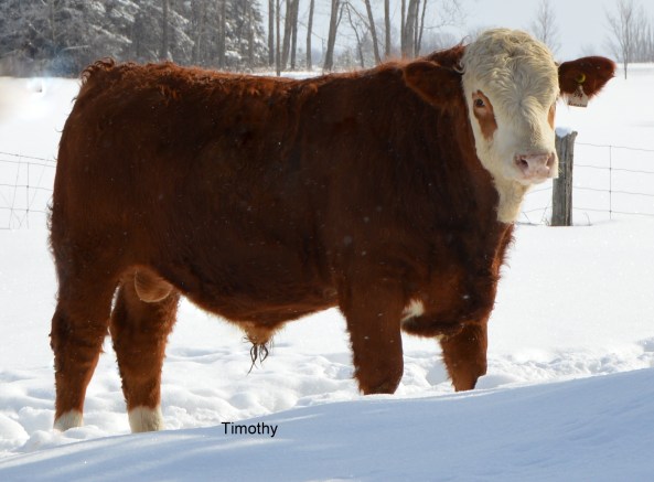 Timothy WinterDSC_2552