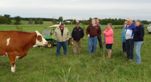 visitors in pasture '15